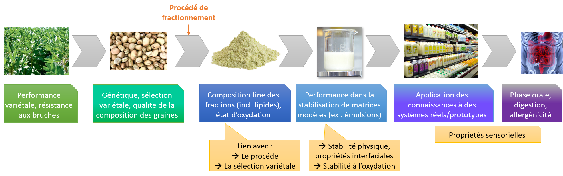 Projet LETSPROSEED : procédés