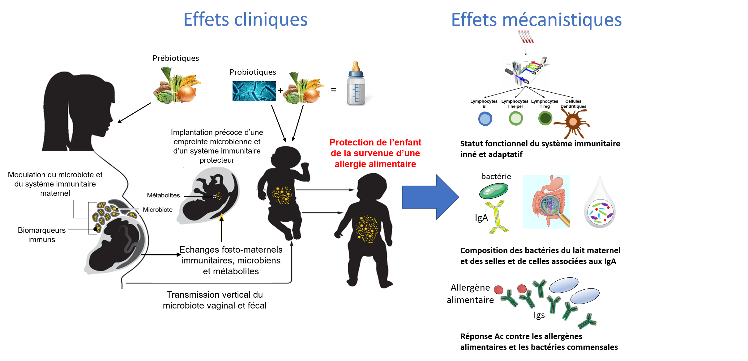 Ecobiotic