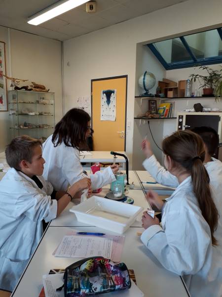 Projet pain Condorcet 2018-2019/2