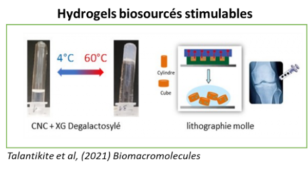 Matériaux fonctionnels hydorgels
