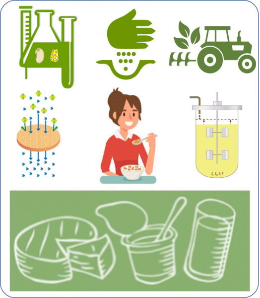 Illustration AlinOVeg