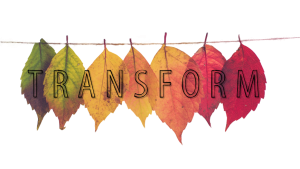 Logo INRAE TRANSFORM