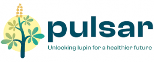logo_PULSAR