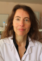 Sandra Denery