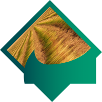 Bannière Bioressources (vert du logo)