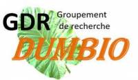 Logo GDR DUMBIO