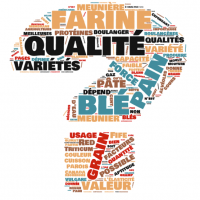 Projet Evagrain