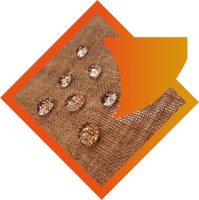 Bannière Matériaux (orange du logo)